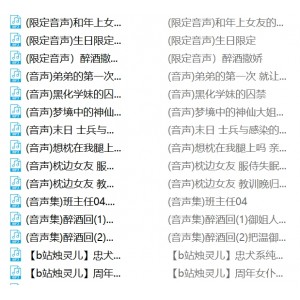 B站烛灵儿26G合集120部小辣椒