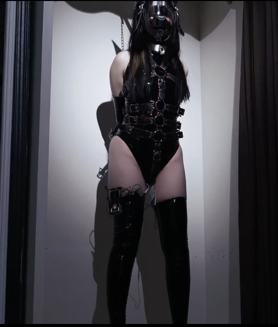 劲爆推特JIOJIO伪娘合集32部20G资源