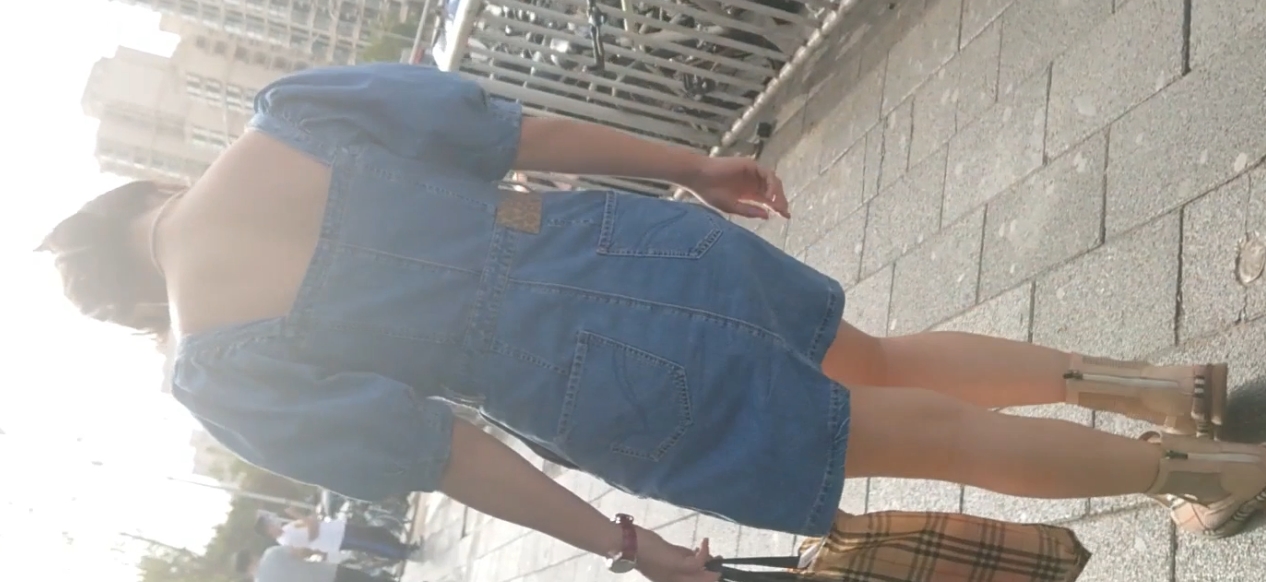 魔手CD绝密厕拍合集59部11.8G